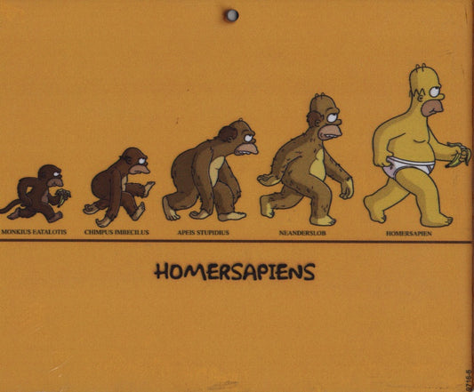 POSTER HOMER SAPIENS - A EVOLUÇÃO SIMPSONS